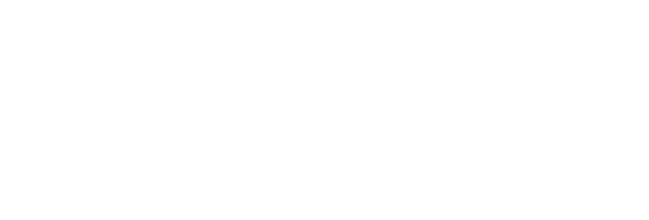 Automotive Grade Chip | Electronic Component Guard